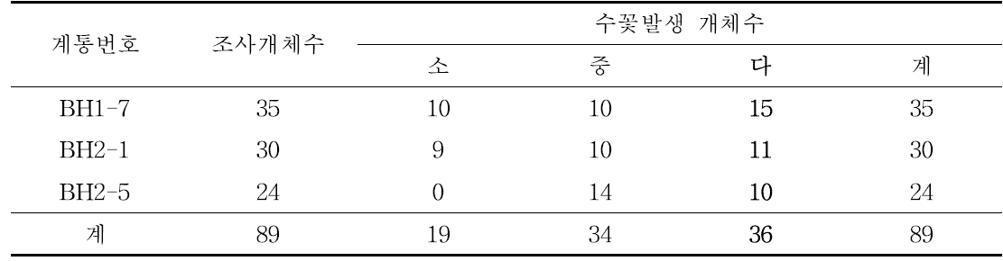 자웅동주 계통 포장 선발내역 : 수꽃 발생량 “다” 비율이 높은 3계통 36개체 선발