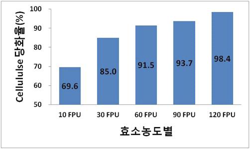 효소 농도별 Cellulose 당화율 비교