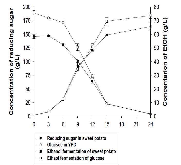 고구마 전분 및 glucose를 이용하여 24시간 동안 에탄올 발효시 잔류당 농도 및 에탄올 생산량 변화