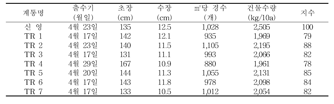 트리티케일 품종 및 계통의 바이오메스 생산