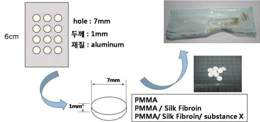 생체적합성 동물모델 시험을 위한 PMMA/silk 인공시멘트 칩의 제조