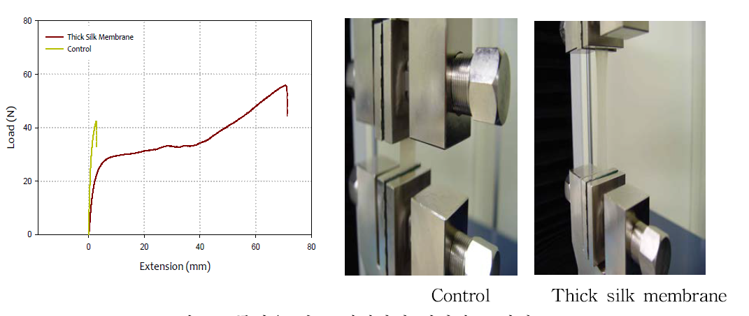 두꺼운 실크 생체막의 인장강도 시험