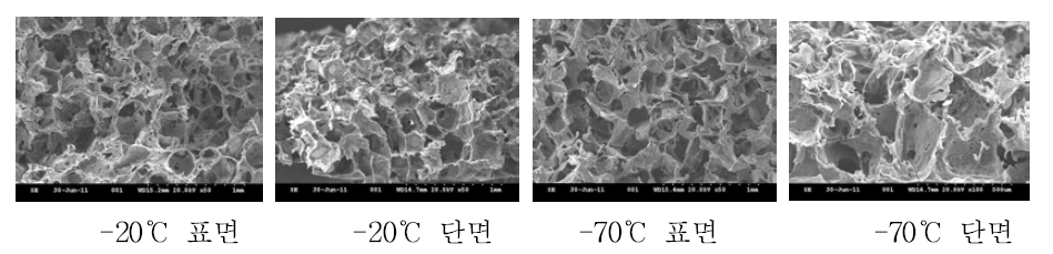 실크용액 동결조건에 따른 다공성 실크 생체막