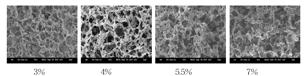 실크용액의 농도에 따른 다공성 실크 생체막