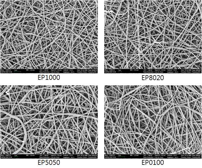 결정화 처리조건에 따른 실크나노섬유막의 전계방출주사전자현미경사진 (X10,000).