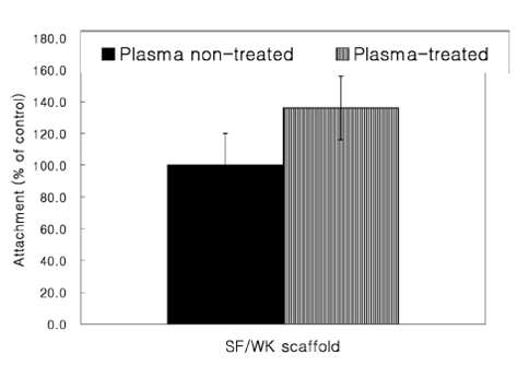 플라즈마 처리 전후 실크 피브로인/양모케라토즈 복합나노섬유 지지체의 연골세포 부착능.
