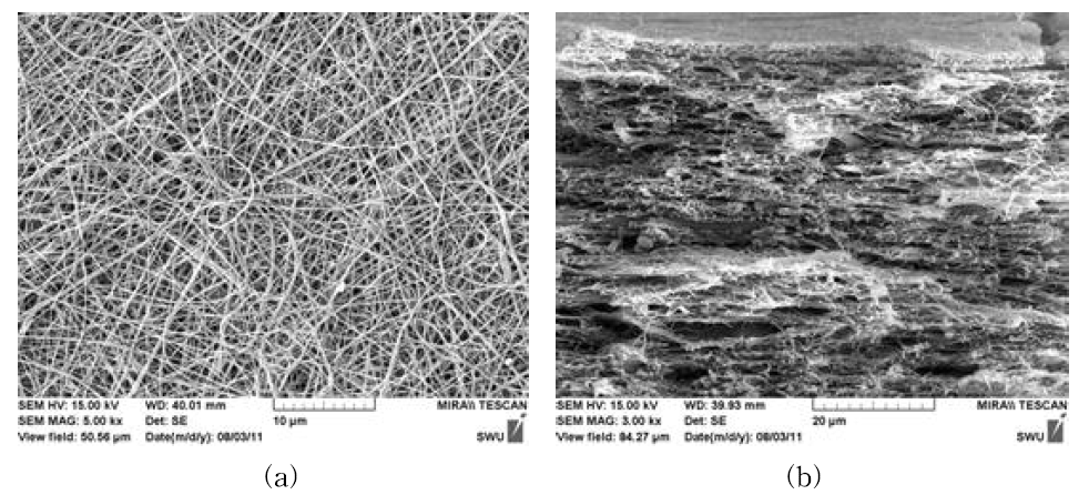 전기방사를 이용하여 제조한 2차원 나노섬유 지지체의 형태학적 구조