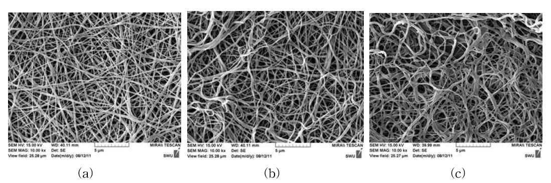 초음파 처리한 후의 2차원 실크 나노섬유 지지체의 주사전자현미경 사진