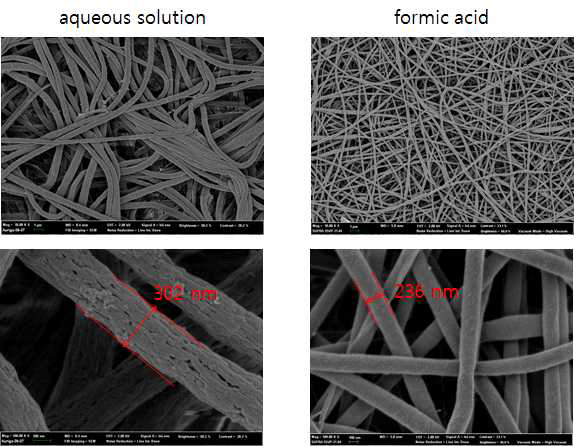 방사용액의 용매(포름산, 물)를 달리하여 제조한 2차원 실크 나노섬유 지지체의 표 면구조 관찰.