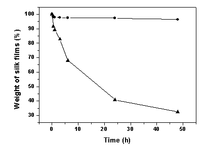실크필름의 용해도