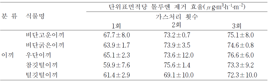 이끼류의 화분에 놓인 단위표면적당 톨루엔 제거 효율