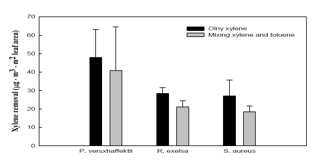 자일렌 단독 및 혼합(톨루엔) 처리시 식물 종류별 자일렌의 제거 효과