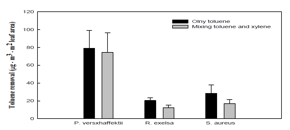 톨루엔 단독 및 혼합(자일렌) 처리시 식물 종류별 톨루엔의 제거 효과.
