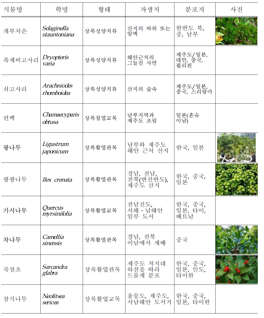 2009년도에 수집된 식물 및 환경조사