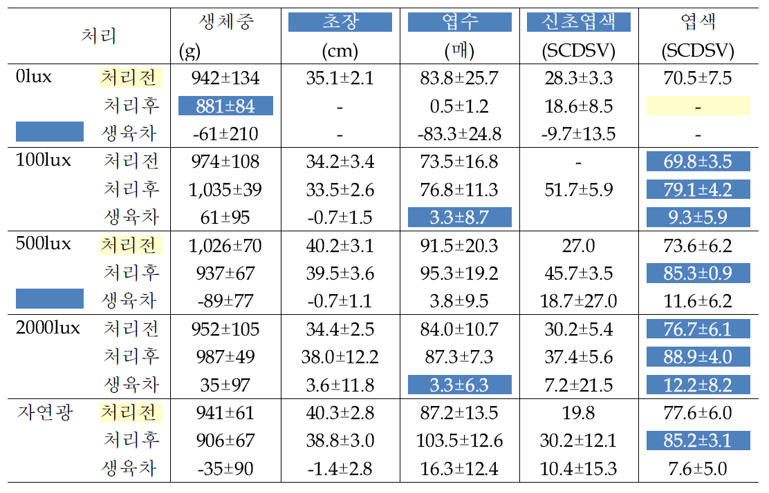 호랑가시나무의 광도별 처리 20주 후 생육 변화