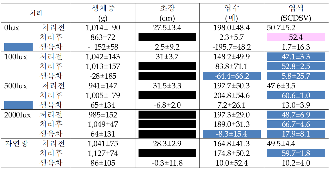 돈나무의 광도별 처리 20주 후 생육 변화