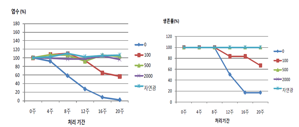 돈나무의 광도별 처리기간에 따른 엽수, 생존률 변화