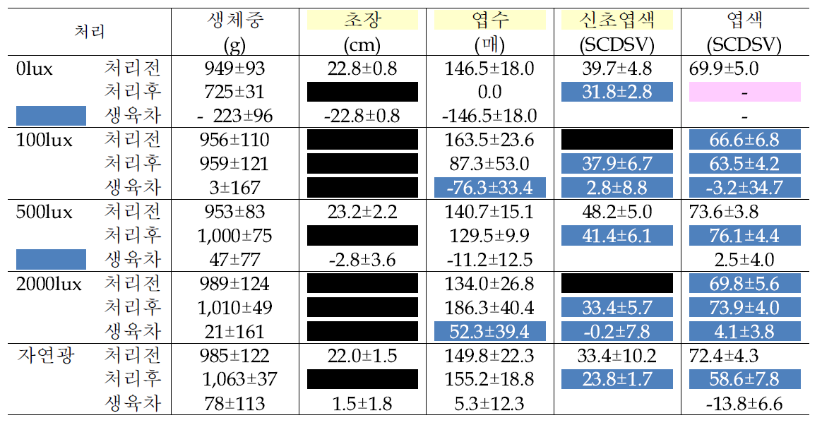 꽃치자의 광도별 처리 20주 후 생육 변화