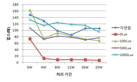 차나무의 광도 처리에 따른 엽수 변화