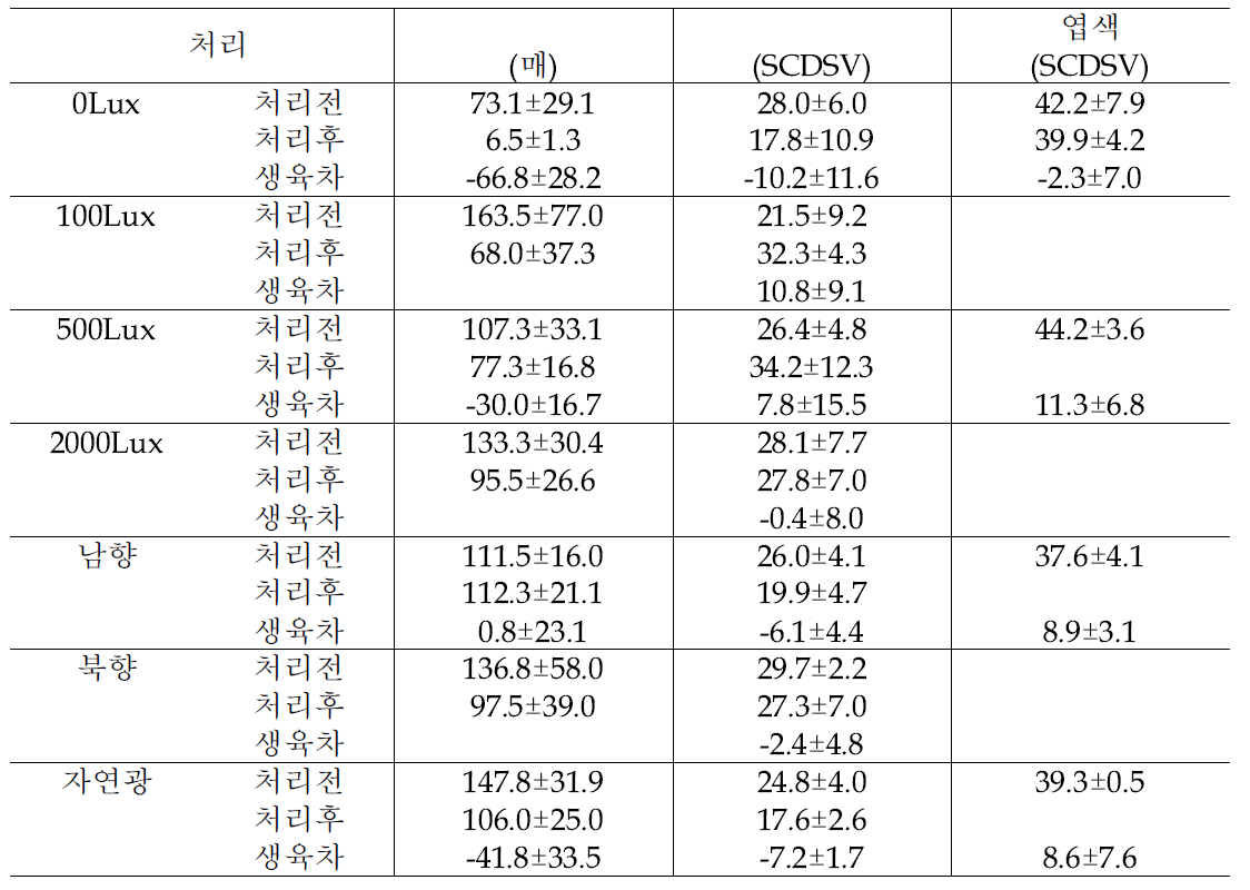 차나무의 광도별 처리 20주 후 생육 변화