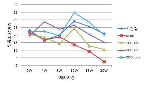 황금측백의 광도 처리에 따른 엽수 변화