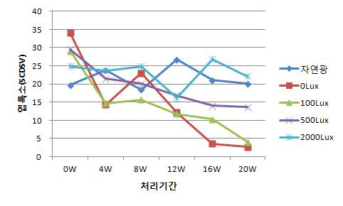 눈향나무의 광도 처리에 따른 엽수 변화