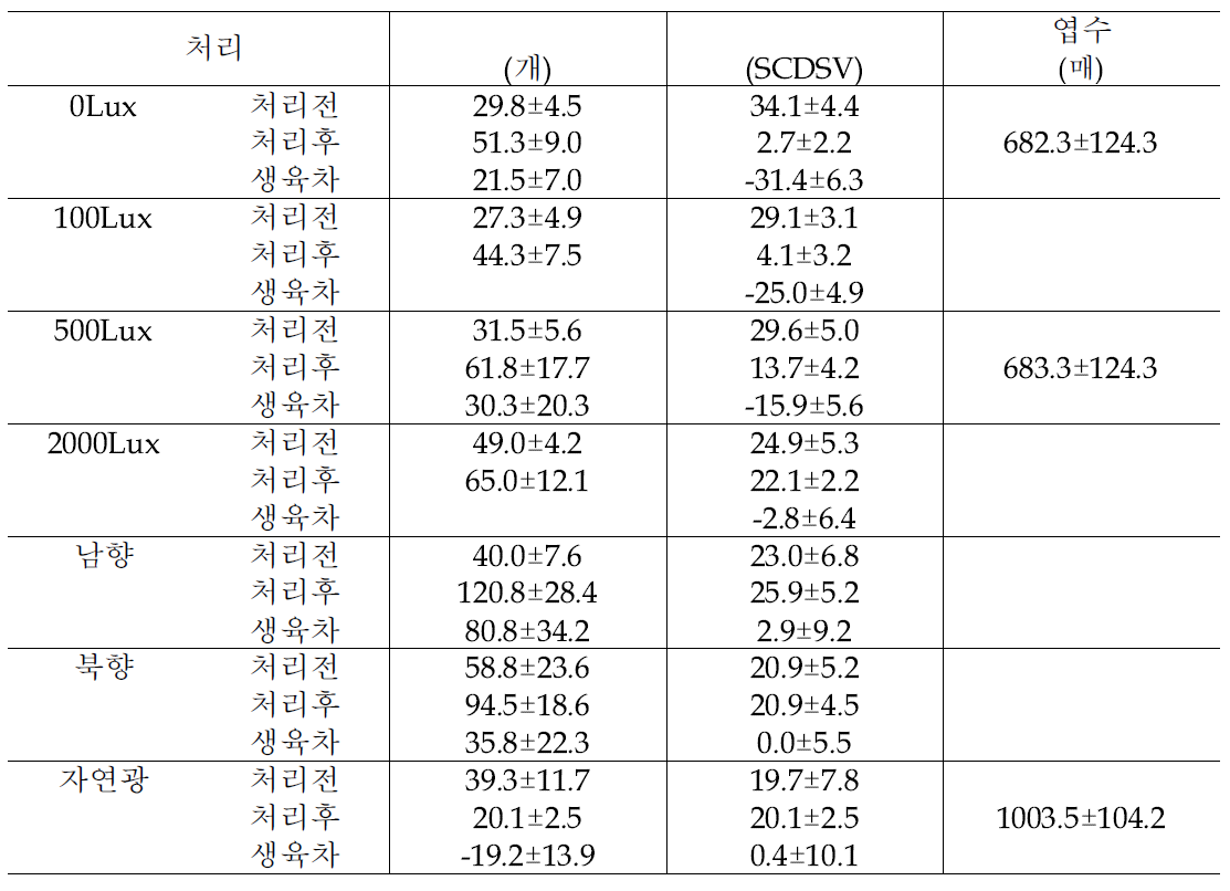 눈향나무의 광도별 처리 20주 후 생육 변화