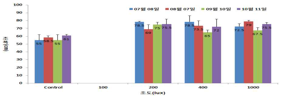 가시나무의 실내 조도별 수관폭의 변화.