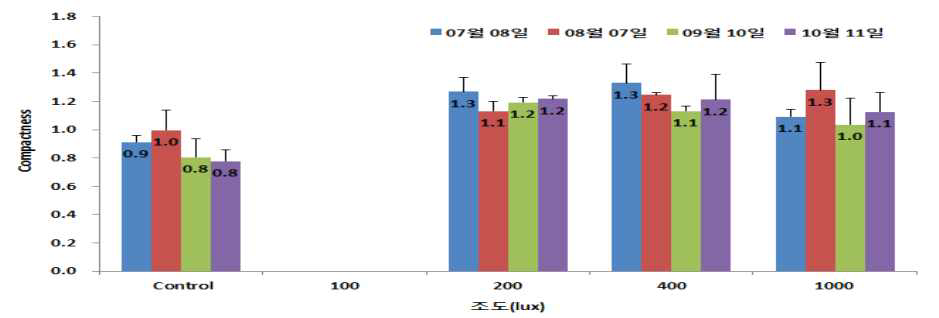 가시나무의 실내 조도별 compactness (수관폭/수고)의 변화