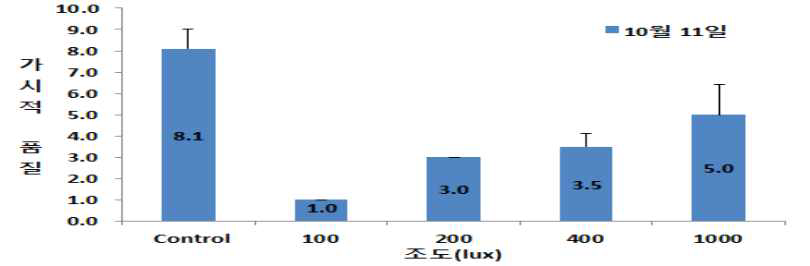 골고사리의 실내 조도별 가시적 품질 평가