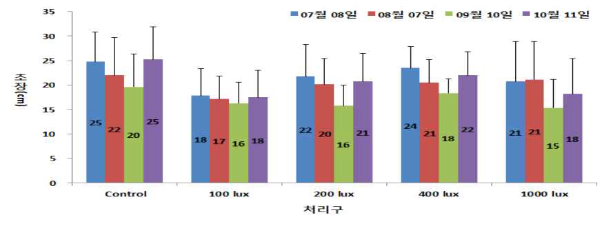 큰봉의꼬리의 실내 조도별 초장 변화