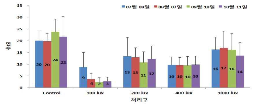 큰봉의꼬리의 실내 조도별 엽수 변화