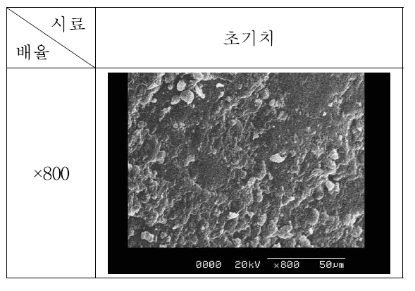 초기치 쌀알 외부 표면 SEM 측정(×800).