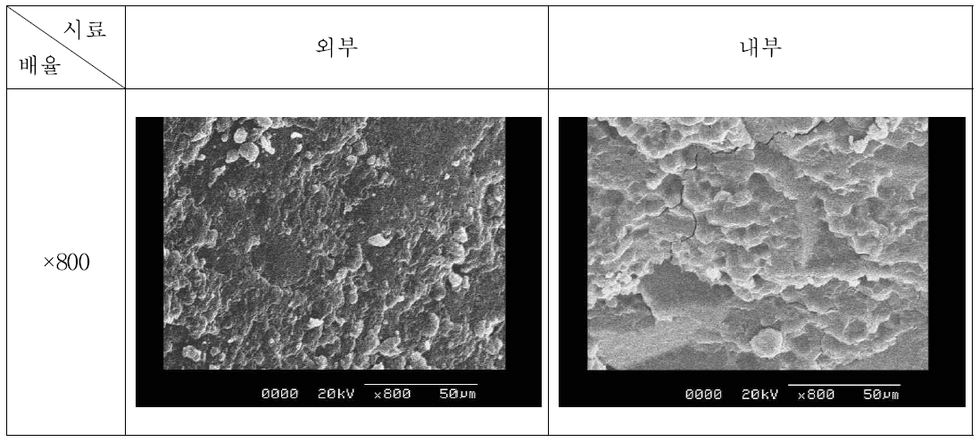 쌀알 외부 및 내부 SEM 측정 (×800).