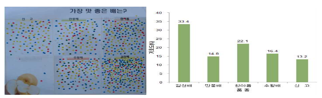 품종별 맛에 대한 기호도 조사(총 809명 대상)