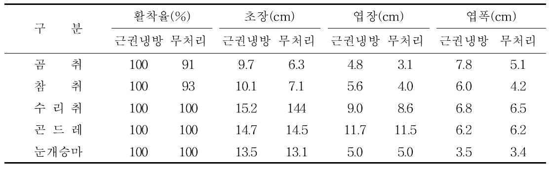 근권냉방 여름육묘 후 가을정식시 생육