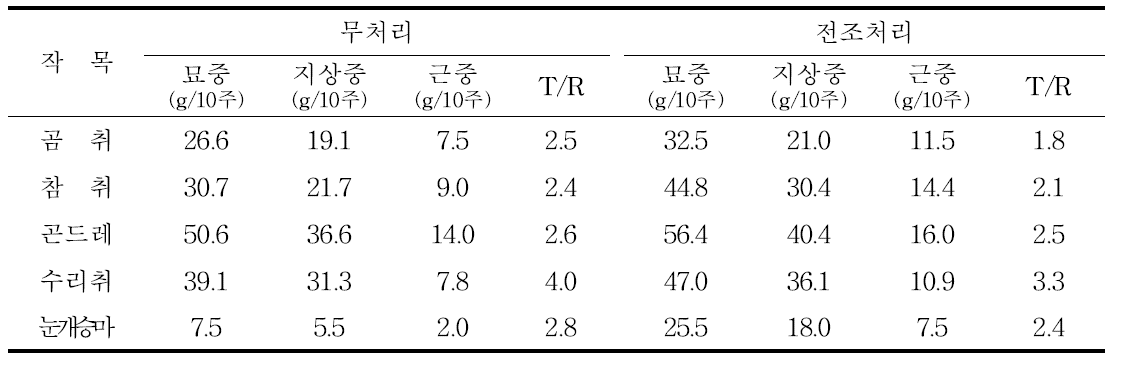 여름 야간 전조처리시 묘소질