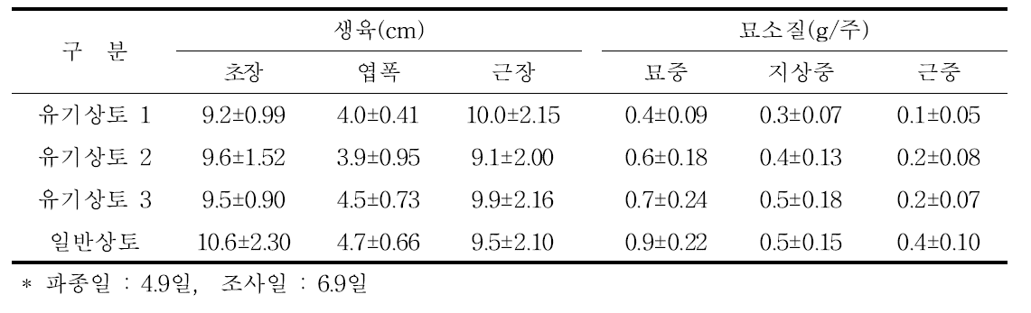 상토별 누룩치 생육 및 묘소질 비교