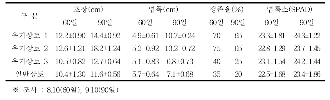 누룩치 정식 후 생육