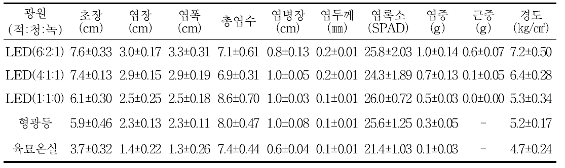 광처리 별 참취의 생육 및 묘소질(파종 후 25일)