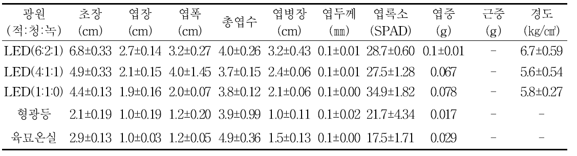 광처리 별 눈개승마의 생육 및 묘소질(파종 후 25일)