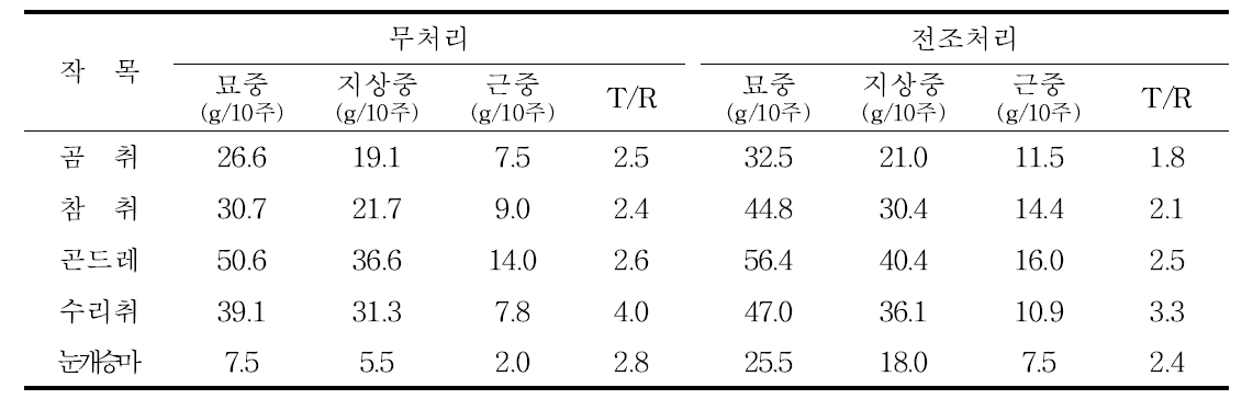 여름 야간 전조처리시 묘소질