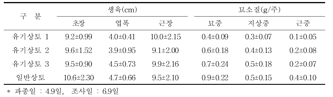 상토별 누룩치 생육 및 묘소질 비교