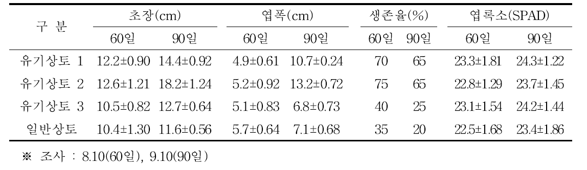 누룩치 정식 후 생육