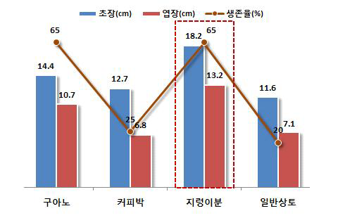 누룩치 정식 후 육묘상토별 생육특성