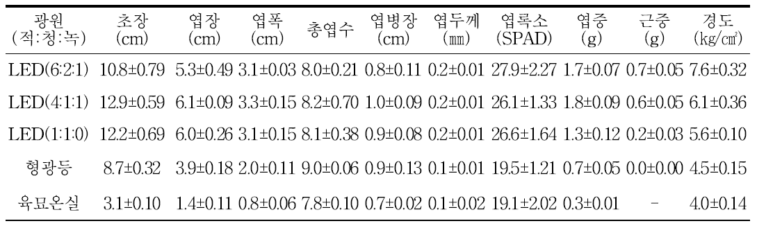 광처리 별 곤드레의 생육 및 묘소질(파종 후 25일)