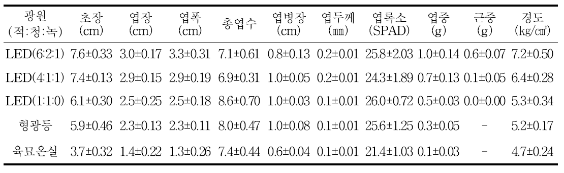 광처리 별 참취의 생육 및 묘소질(파종 후 25일)