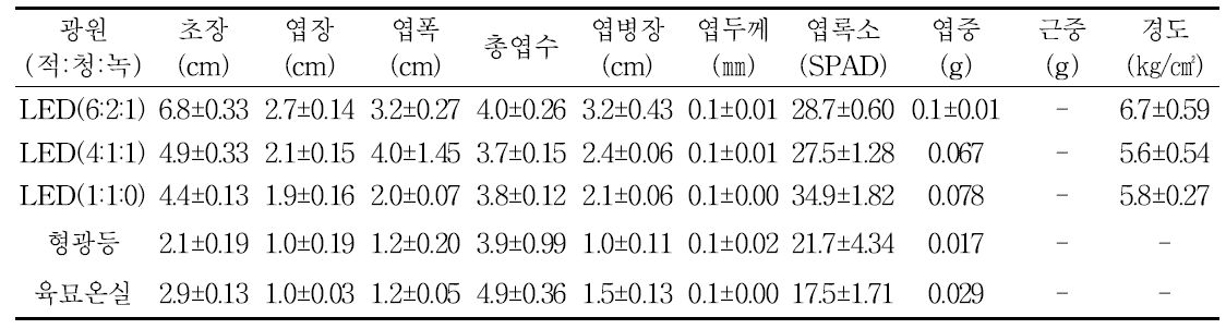 광처리 별 눈개승마의 생육 및 묘소질(파종 후 25일)