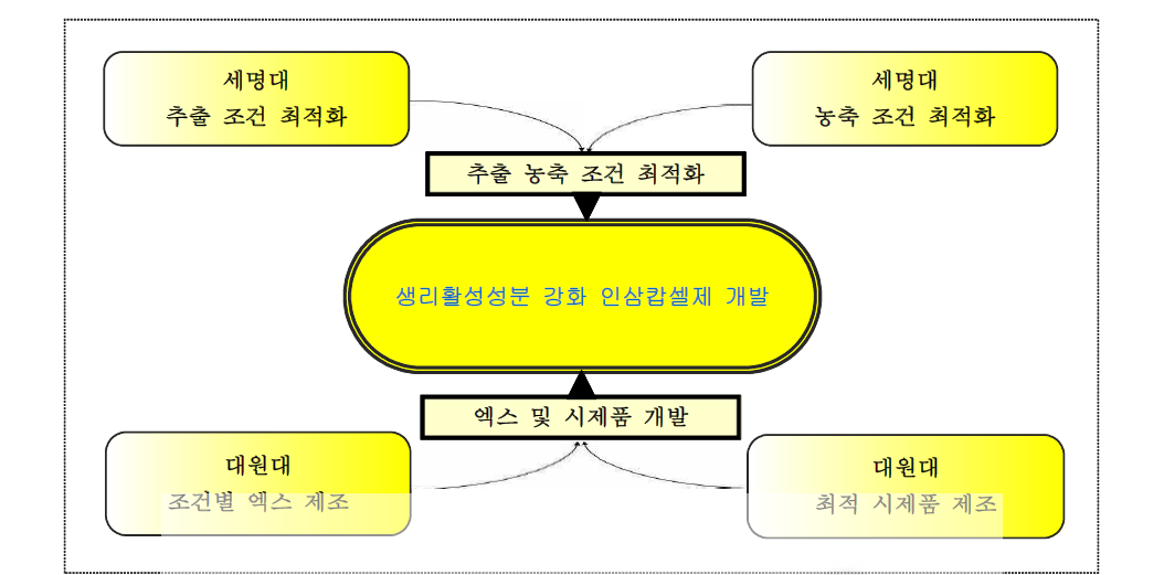 제3세부과제 추진체계