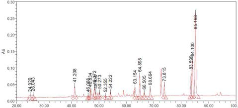 HPLC profiles of ginsenosides detected from Black Ginseng